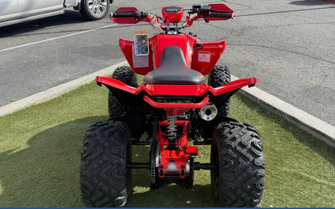 2025 Denago Powersports Daytona 250 FI