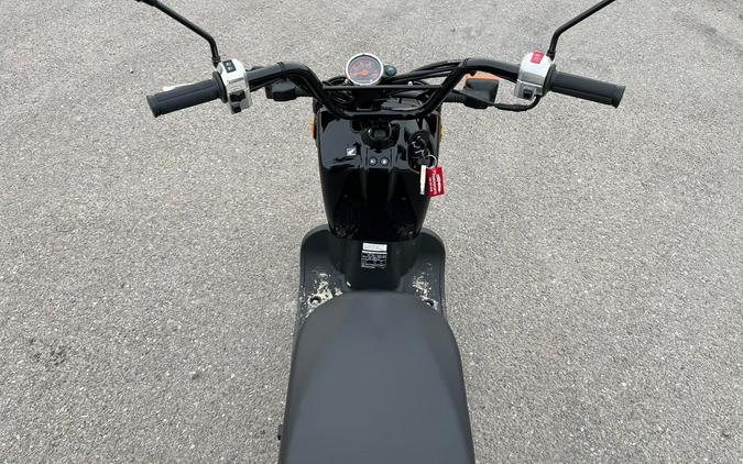 2024 Honda® Ruckus