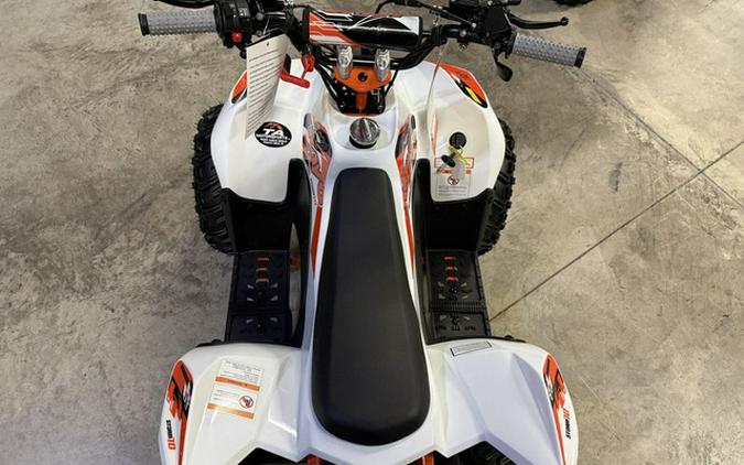 2026 Kayo Fox / Storm 70