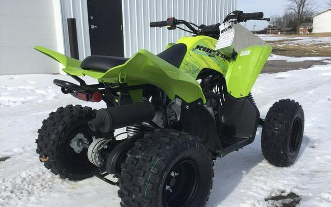 2026 Yamaha Raptor 110