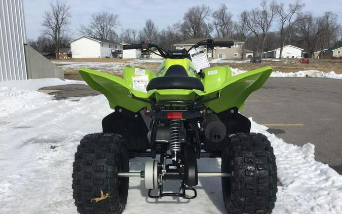 2026 Yamaha Raptor 110