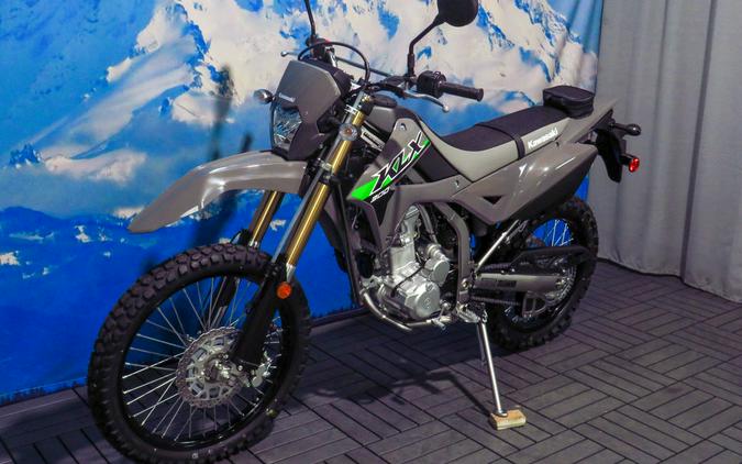 2024 Kawasaki KLX®300