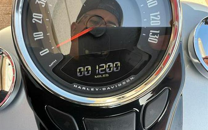 2020 Harley-Davidson Softail Slim®