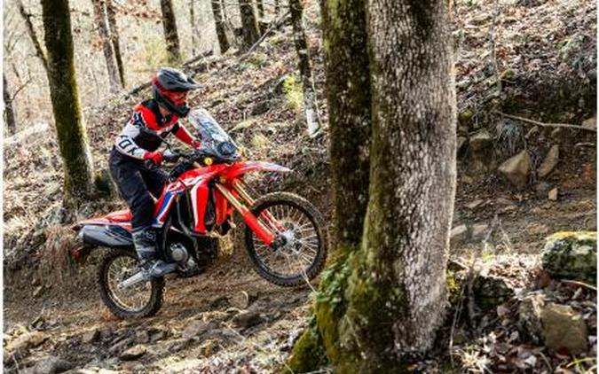 2023 Honda CRF300LS Review (A Dozen Dual-Sport Fast Facts)