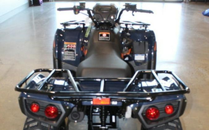 2026 Kawasaki Brute Force 300 300