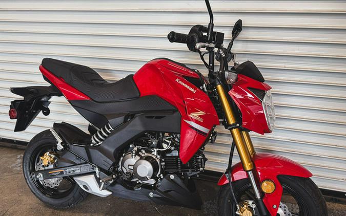 2023 Kawasaki Z125 PRO