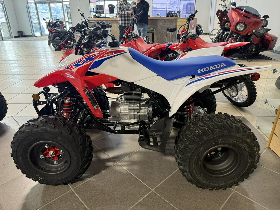 2026 Honda TRX250X