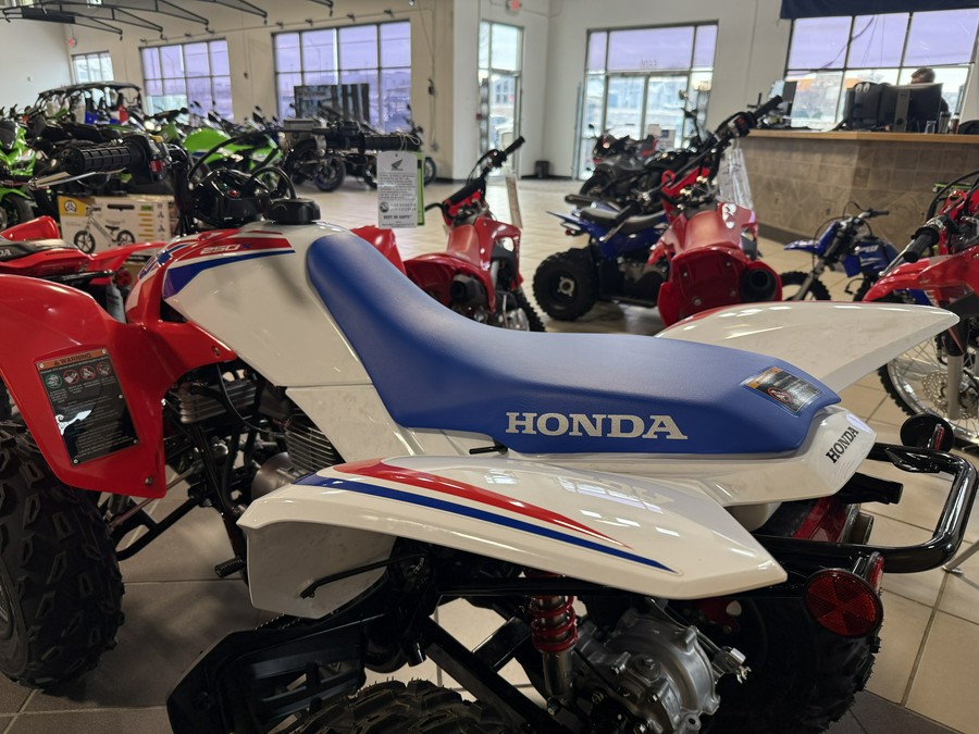 2026 Honda TRX250X