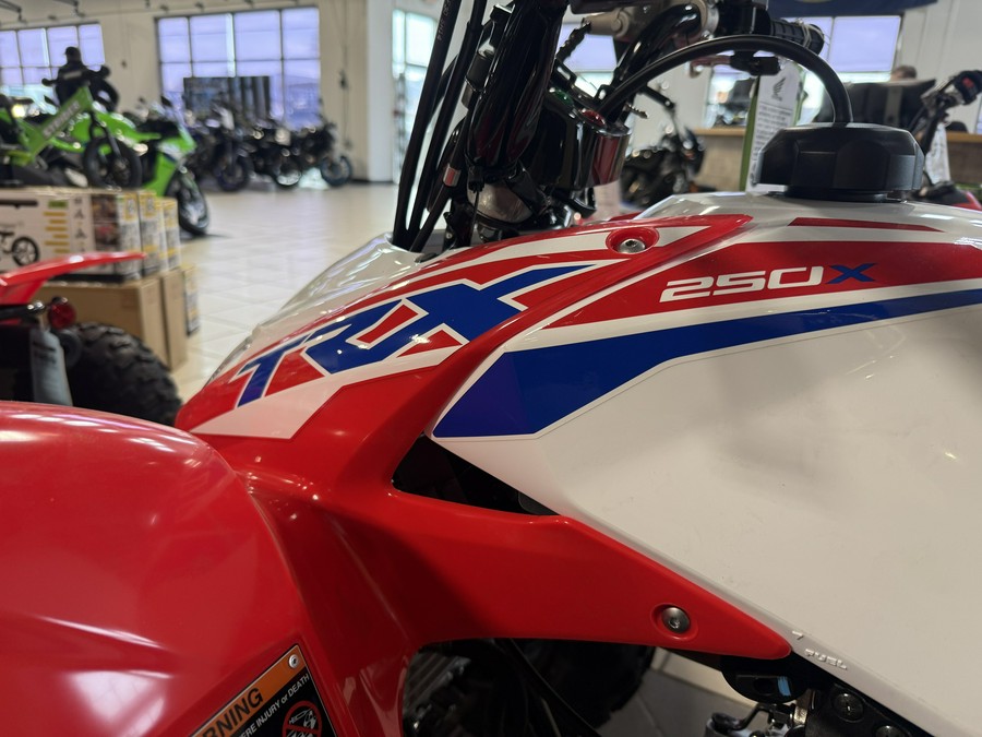 2026 Honda TRX250X