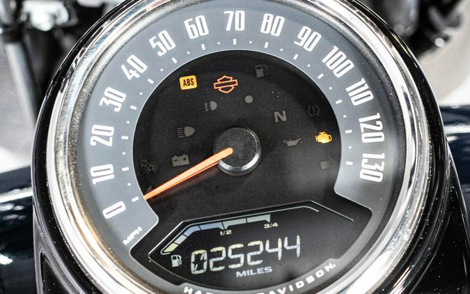 2019 Harley-Davidson Heritage Classic 114