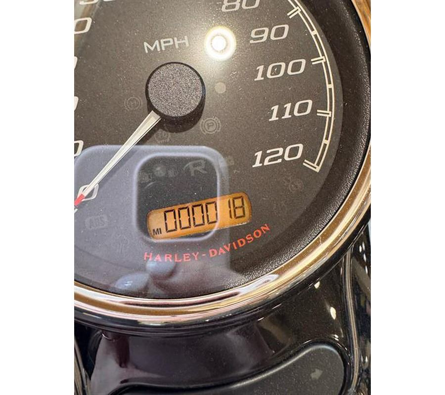 2024 Harley-Davidson Freewheeler®