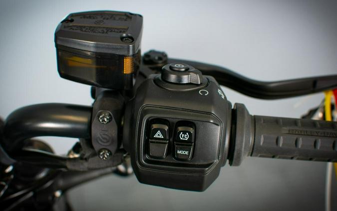 2024 Harley-Davidson Nightster