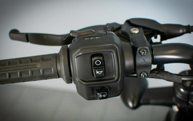 2024 Harley-Davidson Nightster