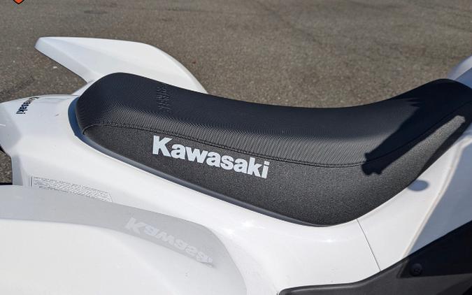 2026 Kawasaki KFX 90