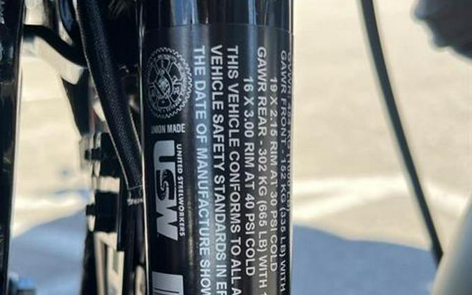 2021 Harley-Davidson Iron 883™