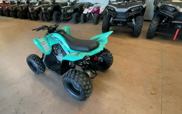 2024 Yamaha Raptor 110