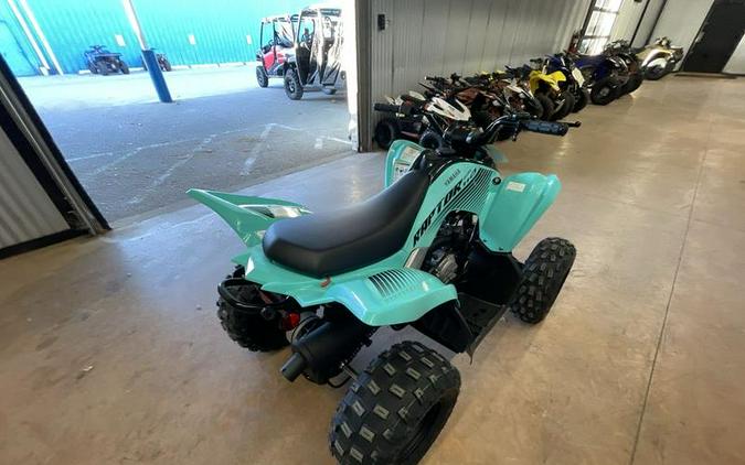 2024 Yamaha Raptor 110