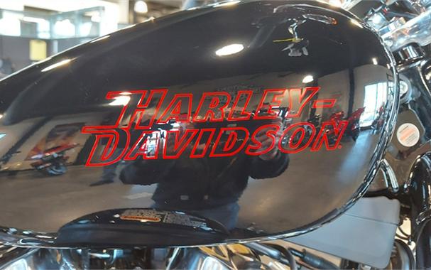 2024 Harley-Davidson Softail Standard