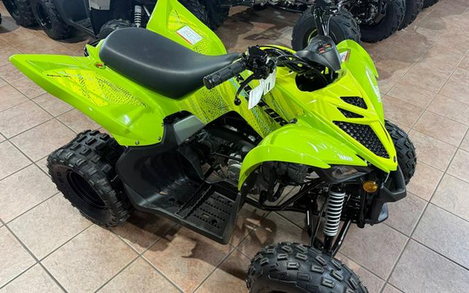 2026 Yamaha Raptor 110