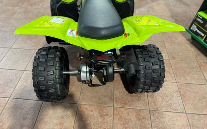 2026 Yamaha Raptor 110