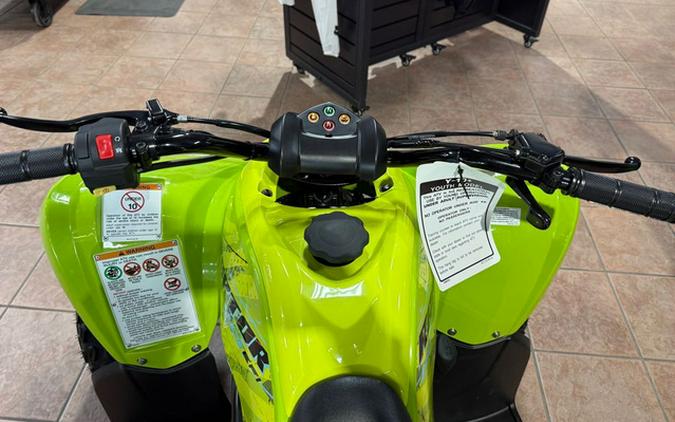 2026 Yamaha Raptor 110