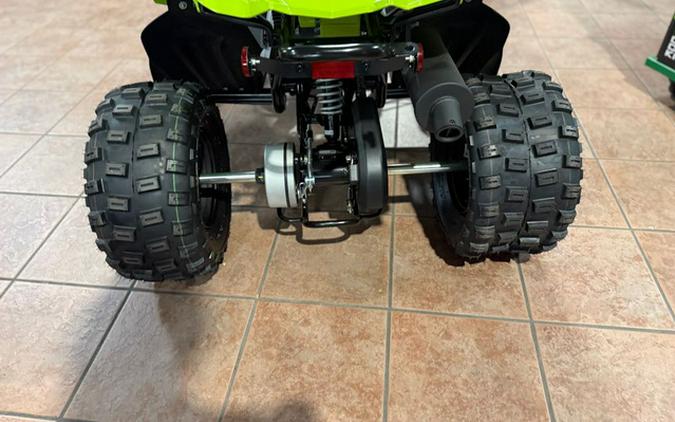 2026 Yamaha Raptor 110