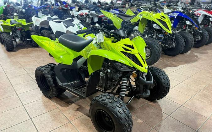 2026 Yamaha Raptor 110