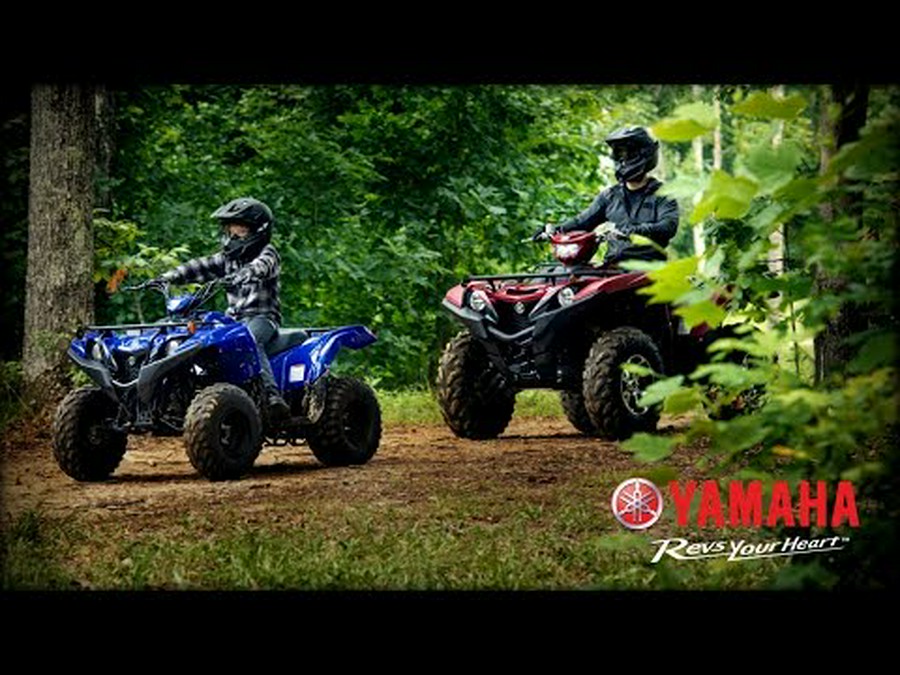 2021 Yamaha Grizzly 90