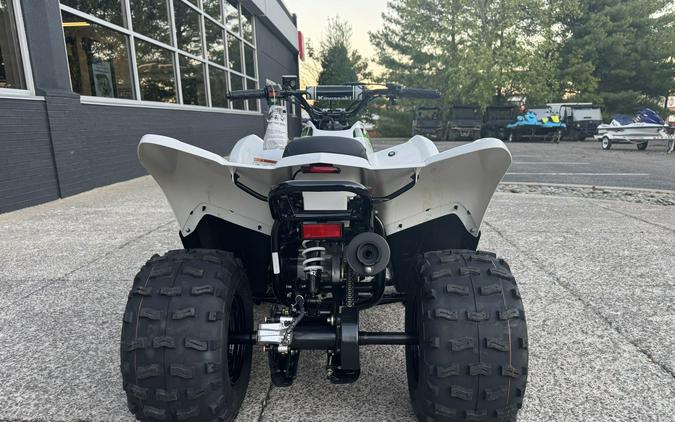 2027 Kawasaki KFX90