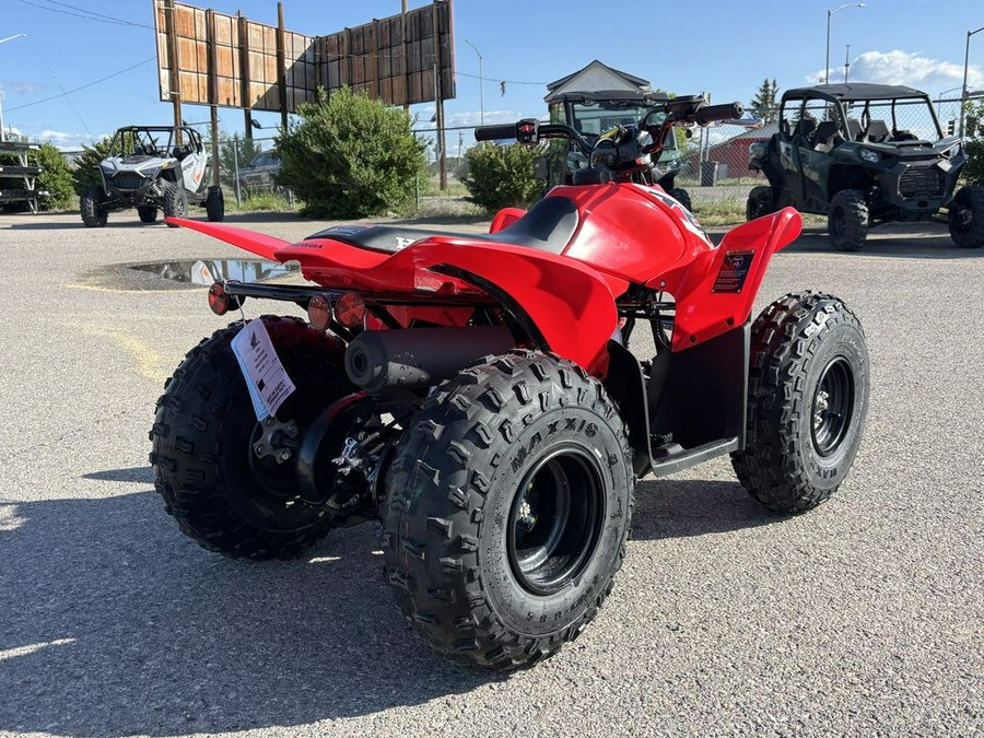 2025 Honda® TRX90X