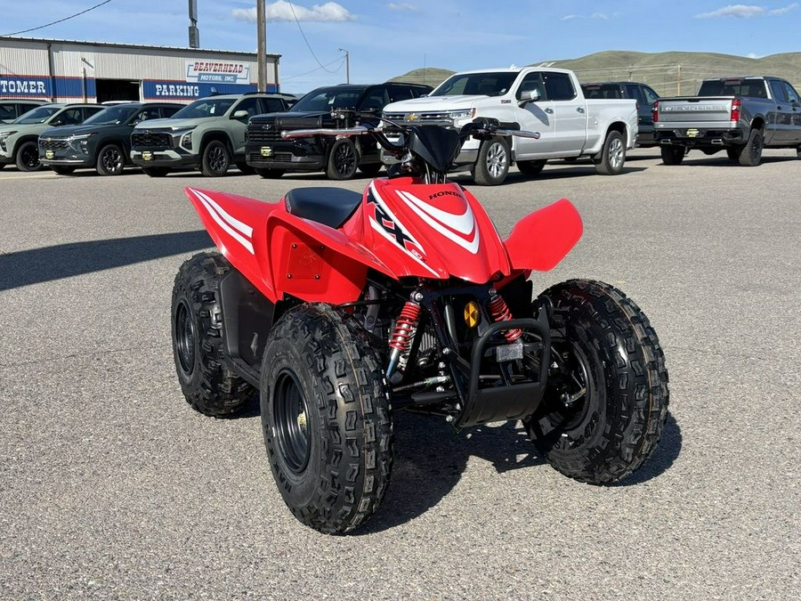 2025 Honda® TRX90X