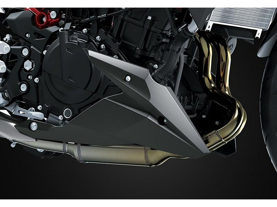 2025 Kawasaki Z500 ABS