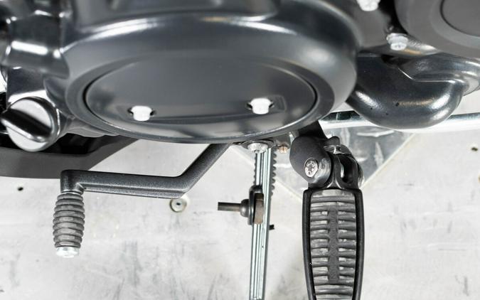 2025 Harley-Davidson Nightster Special