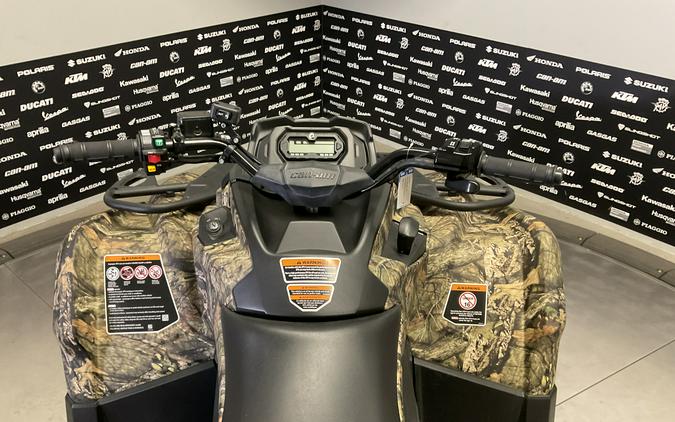 2019 CAN-AM OUTLANDER DPS 450EFI BC 19 - 16000U