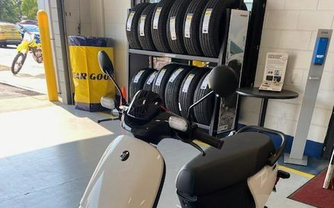 2022 Segway E110A