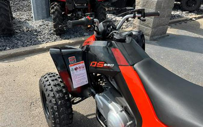 2024 Can-Am DS 250