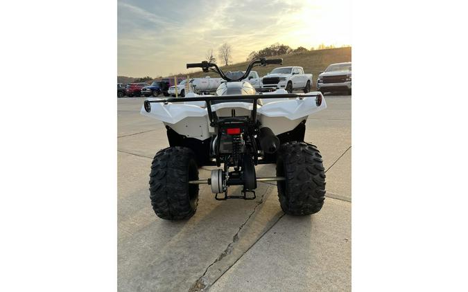 2024 Yamaha Grizzly 90 Youth