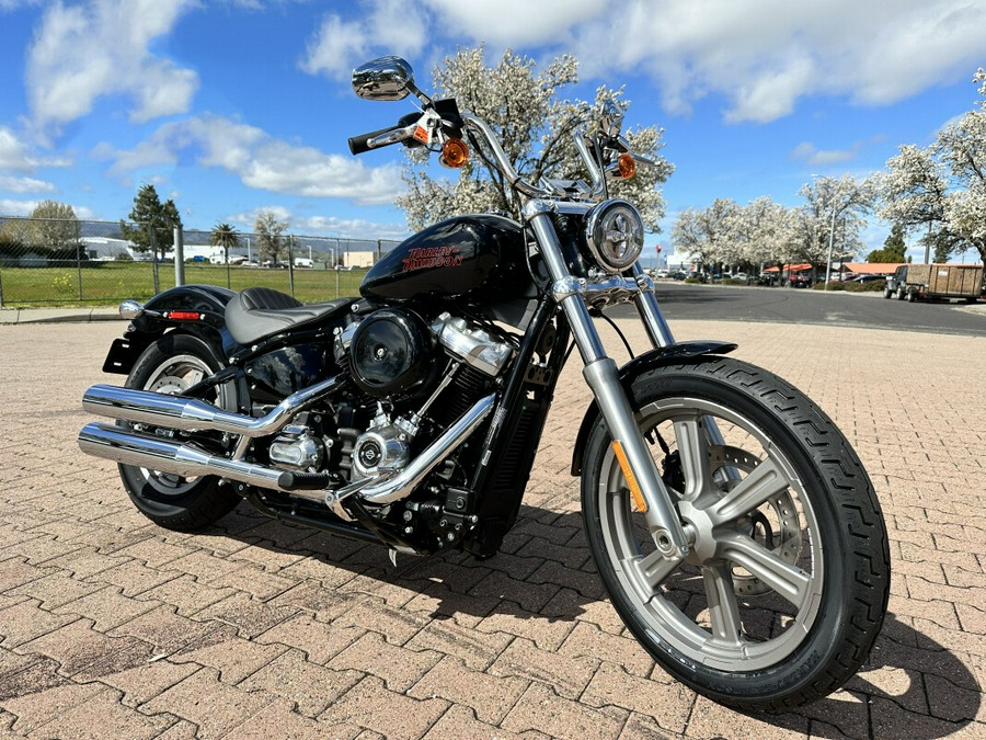 FXST 2024 Softail Standard