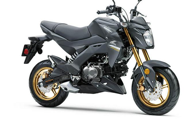 2024 Kawasaki Z125 PRO Base