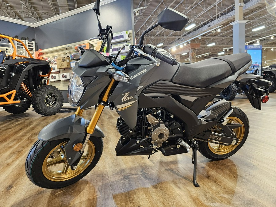 2024 Kawasaki Z125 PRO Base