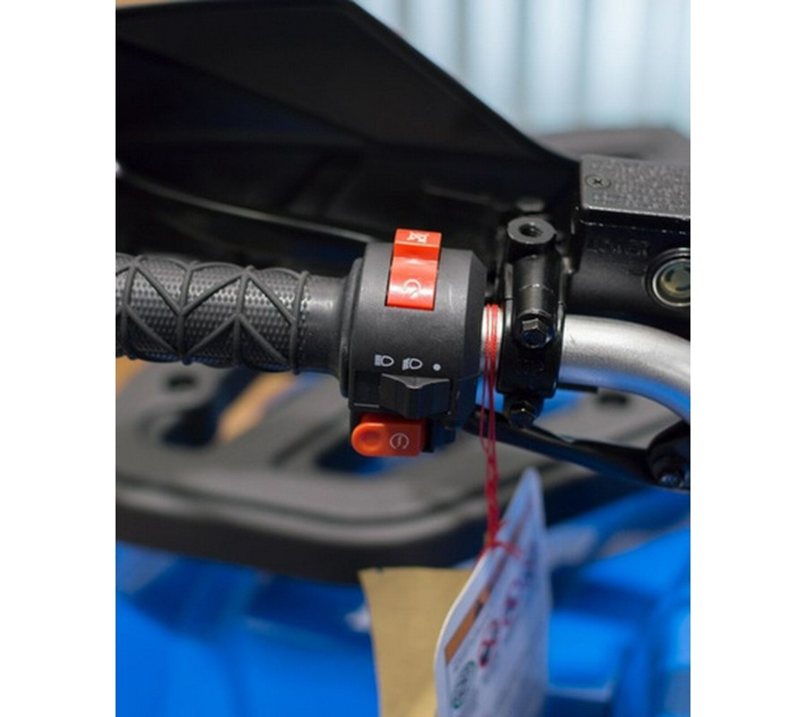 2026 Denago Powersports Mudhawk 200 FI