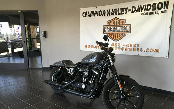 Iron 883™