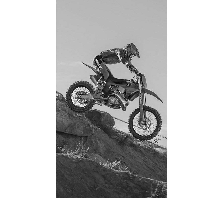 2027 GASGAS EX 300