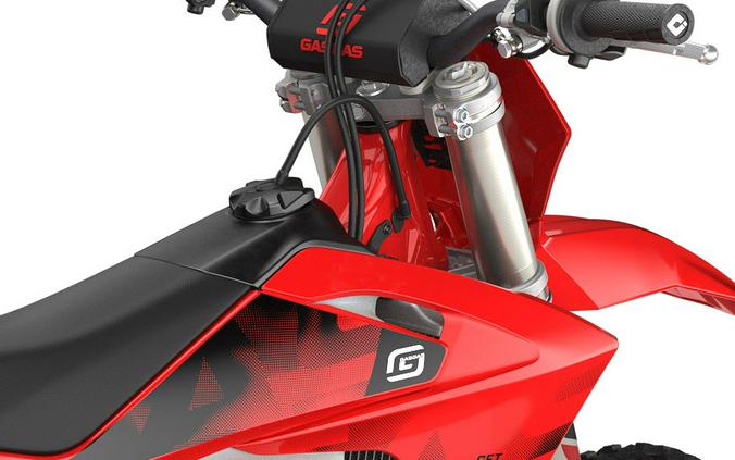 2027 GASGAS EX 300