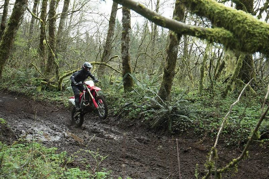 2024 CRF450X - Honda