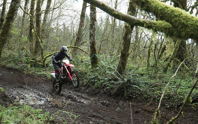 2024 CRF450X - Honda