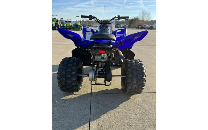 2024 Yamaha Raptor 110