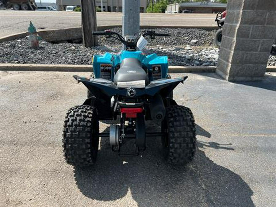 2024 Can-Am Renegade 70 EFI