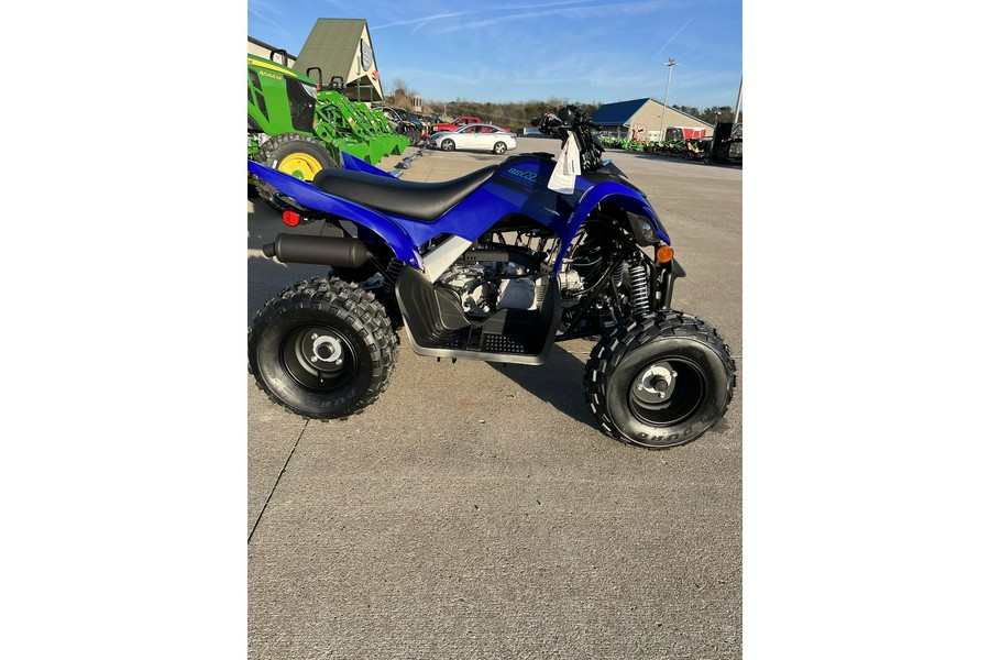 2024 Yamaha Raptor 110