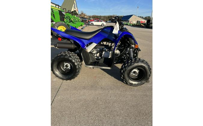 2024 Yamaha Raptor 110